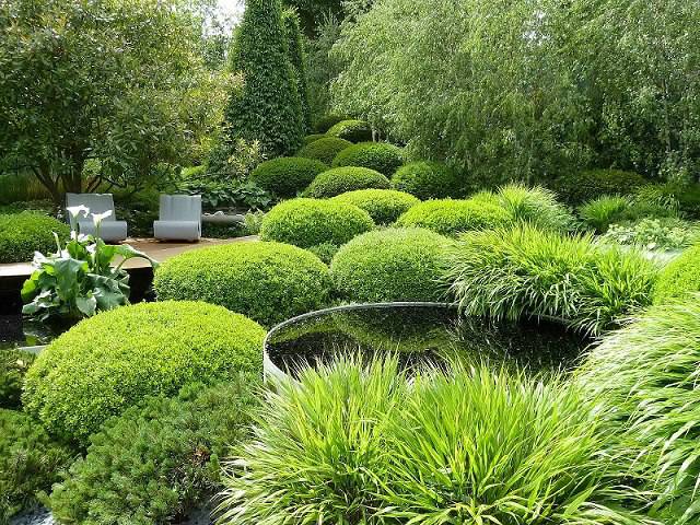 Irish Sky Garden, Chelsea Flower Show 2011