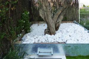 Un jardín paisajístico con gravas rodeando un árbol, un lecho blanco elevado con bordes metálicos a la izquierda, y un pequeño