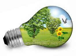 Una bombilla sostenible con una escena natural transparente en su interior, presentando árboles, girasoles y un pájaro volador, representando energía o