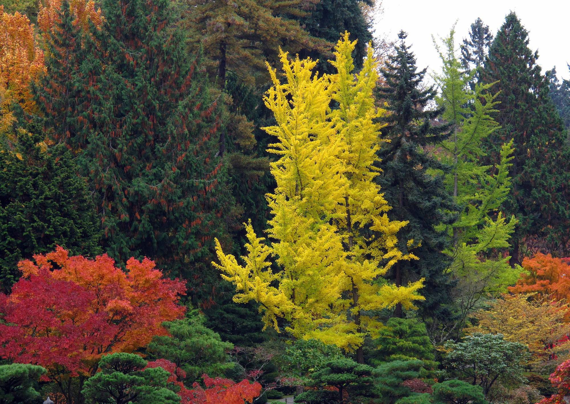 paisajismo en otoño