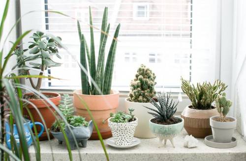 decoras la vivienda