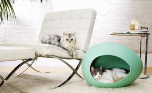 Dos gatos descansando en su elegante rincón para mascotas, uno en una moderna silla blanca y el otro dentro de una cama esférica verde para gatos.