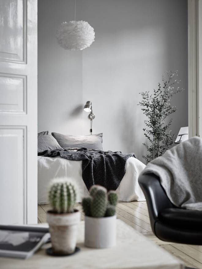 decorando