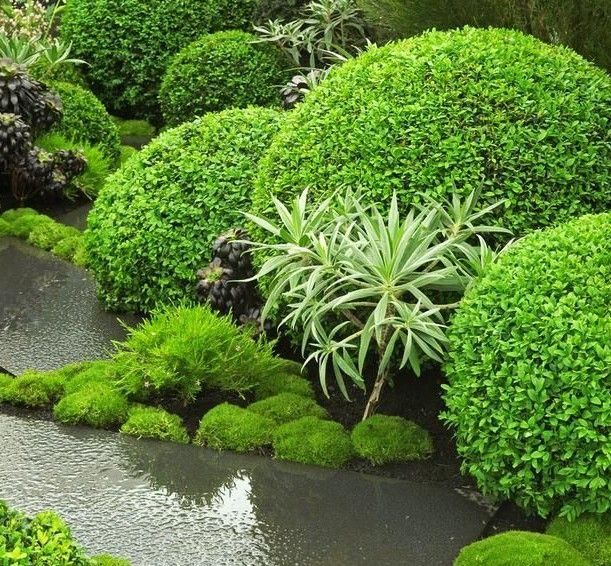¿Cuánto cuesta un proyecto de paisajismo? Calculador de reforma de www.PlanReforma.com, Diseño de jardines, flores y plantas para el hogar, floristerías, decorar el hogar con flores, decorar el hogar con plantas, arquitectos, decoradores, interioristas especializados en jardines, interiorista especializado en jardín, jardín vertical, tener un jardín, mantener un jardín, tener un jardín vertical, jardín en casa, jardín vertical en casa, terraza con jardín, paisajista experto, paisajista Barcelona, paisajista Madrid, construir casa con jardín, construir jardín, cuidar bien el jardín, cuidar el jardín, tener plantas en casa, los beneficios de las plantas, decorar con plantas, decorar con flores, poner flores en casa, buscar floristas, decoradores y floristas, reformar casa, reformar el jardín, paisajista valencia, paisajista Galicia, paisajista Bilbao, busco paisajista, que es un paisajista, paisajista a domicilio, buscar un arquitecto paisajista, decorador experto, profesional de la decoración de jardín, paisajismo, iluminar un jardín, iluminación de exteriores, iluminación para exteriores, iluminación fuera, decorar casa con plantas, decorar con plantas, plantas y decoración de casa, cómo colocar las plantas, plantas para interiores, plantas para exteriores