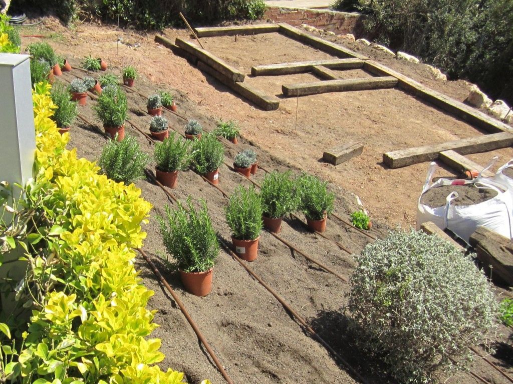 ¿Cuánto cuesta un proyecto de paisajismo? Calculador de reforma de www.PlanReforma.com, Diseño de jardines, flores y plantas para el hogar, floristerías, decorar el hogar con flores, decorar el hogar con plantas, arquitectos, decoradores, interioristas especializados en jardines, interiorista especializado en jardín, jardín vertical, tener un jardín, mantener un jardín, tener un jardín vertical, jardín en casa, jardín vertical en casa, terraza con jardín, paisajista experto, paisajista Barcelona, paisajista Madrid, construir casa con jardín, construir jardín, cuidar bien el jardín, cuidar el jardín, tener plantas en casa, los beneficios de las plantas, decorar con plantas, decorar con flores, poner flores en casa, buscar floristas, decoradores y floristas, reformar casa, reformar el jardín, paisajista valencia, paisajista Galicia, paisajista Bilbao, busco paisajista, que es un paisajista, paisajista a domicilio, buscar un arquitecto paisajista, decorador experto, profesional de la decoración de jardín, paisajismo, iluminar un jardín, iluminación de exteriores, iluminación para exteriores, iluminación fuera, decorar casa con plantas, decorar con plantas, plantas y decoración de casa, cómo colocar las plantas, plantas para interiores, plantas para exteriores