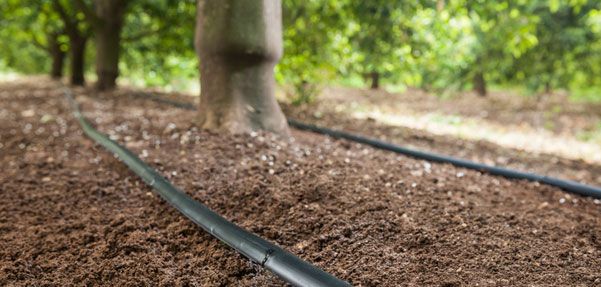 ¿Cuánto cuesta un proyecto de paisajismo? Calculador de reforma de www.PlanReforma.com, Diseño de jardines, flores y plantas para el hogar, floristerías, decorar el hogar con flores, decorar el hogar con plantas, arquitectos, decoradores, interioristas especializados en jardines, interiorista especializado en jardín, jardín vertical, tener un jardín, mantener un jardín, tener un jardín vertical, jardín en casa, jardín vertical en casa, terraza con jardín, paisajista experto, paisajista Barcelona, paisajista Madrid, construir casa con jardín, construir jardín, cuidar bien el jardín, cuidar el jardín, tener plantas en casa, los beneficios de las plantas, decorar con plantas, decorar con flores, poner flores en casa, buscar floristas, decoradores y floristas, reformar casa, reformar el jardín, paisajista valencia, paisajista Galicia, paisajista Bilbao, busco paisajista, que es un paisajista, paisajista a domicilio, buscar un arquitecto paisajista, decorador experto, profesional de la decoración de jardín, paisajismo, iluminar un jardín, iluminación de exteriores, iluminación para exteriores, iluminación fuera, decorar casa con plantas, decorar con plantas, plantas y decoración de casa, cómo colocar las plantas, plantas para interiores, plantas para exteriores