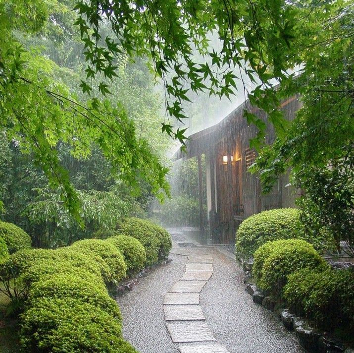 ¿Cuánto cuesta un proyecto de paisajismo? Calculador de reforma de www.PlanReforma.com, Diseño de jardines, flores y plantas para el hogar, floristerías, decorar el hogar con flores, decorar el hogar con plantas, arquitectos, decoradores, interioristas especializados en jardines, interiorista especializado en jardín, jardín vertical, tener un jardín, mantener un jardín, tener un jardín vertical, jardín en casa, jardín vertical en casa, terraza con jardín, paisajista experto, paisajista Barcelona, paisajista Madrid, construir casa con jardín, construir jardín, cuidar bien el jardín, cuidar el jardín, tener plantas en casa, los beneficios de las plantas, decorar con plantas, decorar con flores, poner flores en casa, buscar floristas, decoradores y floristas, reformar casa, reformar el jardín, paisajista valencia, paisajista Galicia, paisajista Bilbao, busco paisajista, que es un paisajista, paisajista a domicilio, buscar un arquitecto paisajista, decorador experto, profesional de la decoración de jardín, paisajismo, iluminar un jardín, iluminación de exteriores, iluminación para exteriores, iluminación fuera, decorar casa con plantas, decorar con plantas, plantas y decoración de casa, cómo colocar las plantas, plantas para interiores, plantas para exteriores