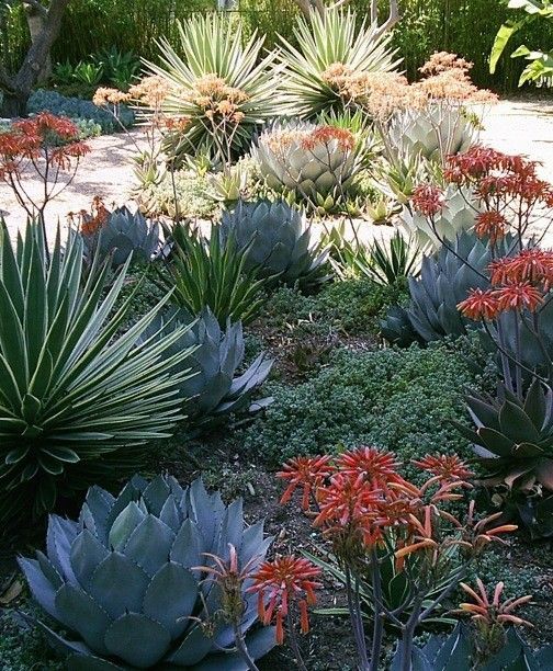 ¿Cuánto cuesta un proyecto de paisajismo? Calculador de reforma de www.PlanReforma.com, Diseño de jardines, flores y plantas para el hogar, floristerías, decorar el hogar con flores, decorar el hogar con plantas, arquitectos, decoradores, interioristas especializados en jardines, interiorista especializado en jardín, jardín vertical, tener un jardín, mantener un jardín, tener un jardín vertical, jardín en casa, jardín vertical en casa, terraza con jardín, paisajista experto, paisajista Barcelona, paisajista Madrid, construir casa con jardín, construir jardín, cuidar bien el jardín, cuidar el jardín, tener plantas en casa, los beneficios de las plantas, decorar con plantas, decorar con flores, poner flores en casa, buscar floristas, decoradores y floristas, reformar casa, reformar el jardín, paisajista valencia, paisajista Galicia, paisajista Bilbao, busco paisajista, que es un paisajista, paisajista a domicilio, buscar un arquitecto paisajista, decorador experto, profesional de la decoración de jardín, paisajismo, iluminar un jardín, iluminación de exteriores, iluminación para exteriores, iluminación fuera, decorar casa con plantas, decorar con plantas, plantas y decoración de casa, cómo colocar las plantas, plantas para interiores, plantas para exteriores