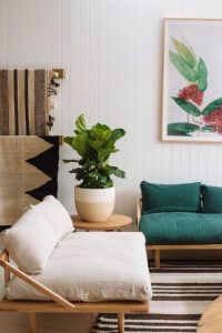 redecorar el salón con plantas 2