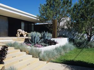 Una casa moderna con un jardín de bajo mantenimiento que presenta escalones de piedra, suculentas y una gran escultura.