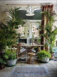 espacio muy verde