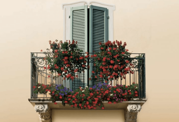 Balcón adornado con flores rojas y moradas de Decoracción 2017, con un par de contraventanas cerradas sobre una sencilla pared beige.