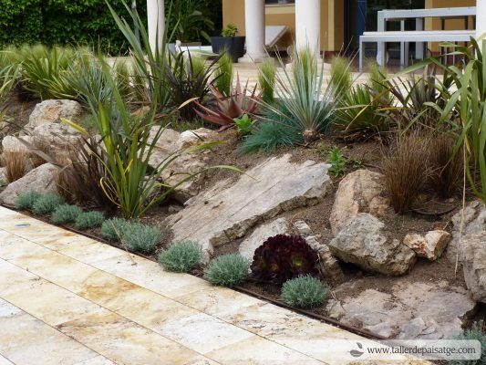 Una xerojardinería con rocas, suculentas y hierbas ornamentales junto a un camino pavimentado.