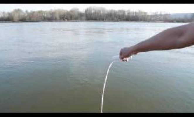 La mano de una persona se muestra desde un lado, agarrando un hilo de pescar que se extiende sobre una masa de agua, con árboles visibles en la orilla opuesta, creando una escena realista.