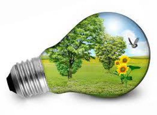 Una bombilla sostenible con una escena natural transparente en su interior, presentando árboles, girasoles y un pájaro volador, representando energía o