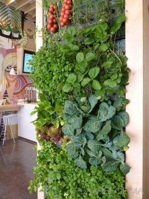 Un jardín interior vertical con una variedad de exuberantes plantas verdes y tomates colgantes, que florecen con el espíritu de la primavera.